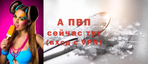 индика Покачи
