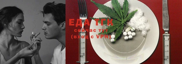 индика Покачи