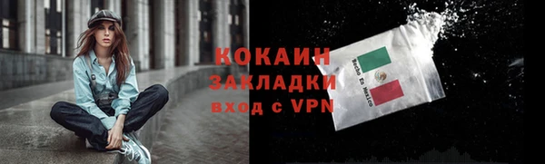 твердый Покровск