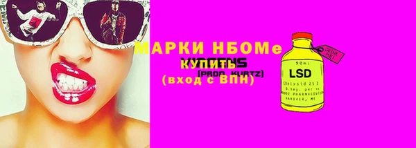 индика Покачи
