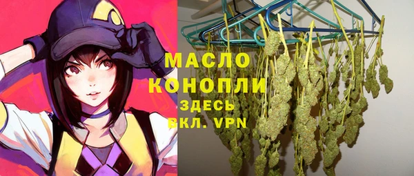 индика Покачи