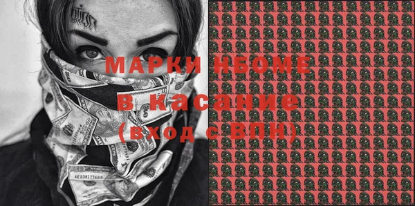 индика Покачи