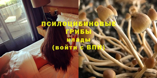 2c-b Покров