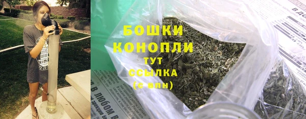 индика Покачи