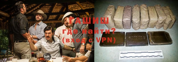 индика Покачи